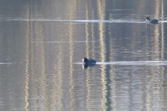 p1010165